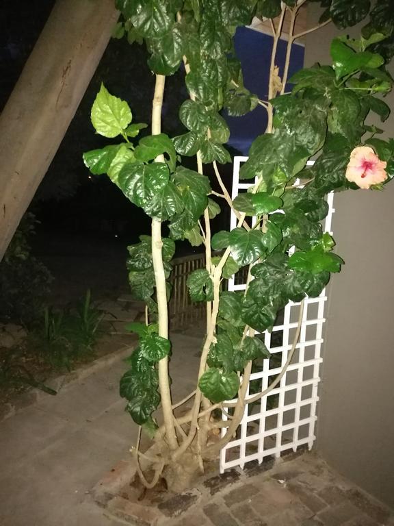 Willows Curve Somerset West Luaran gambar